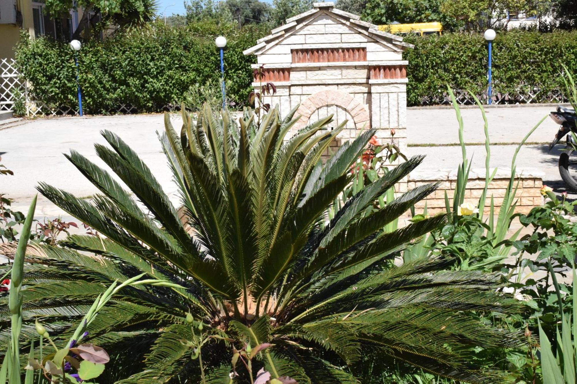 Lydia Rooms & Studios Preveza Exterior foto